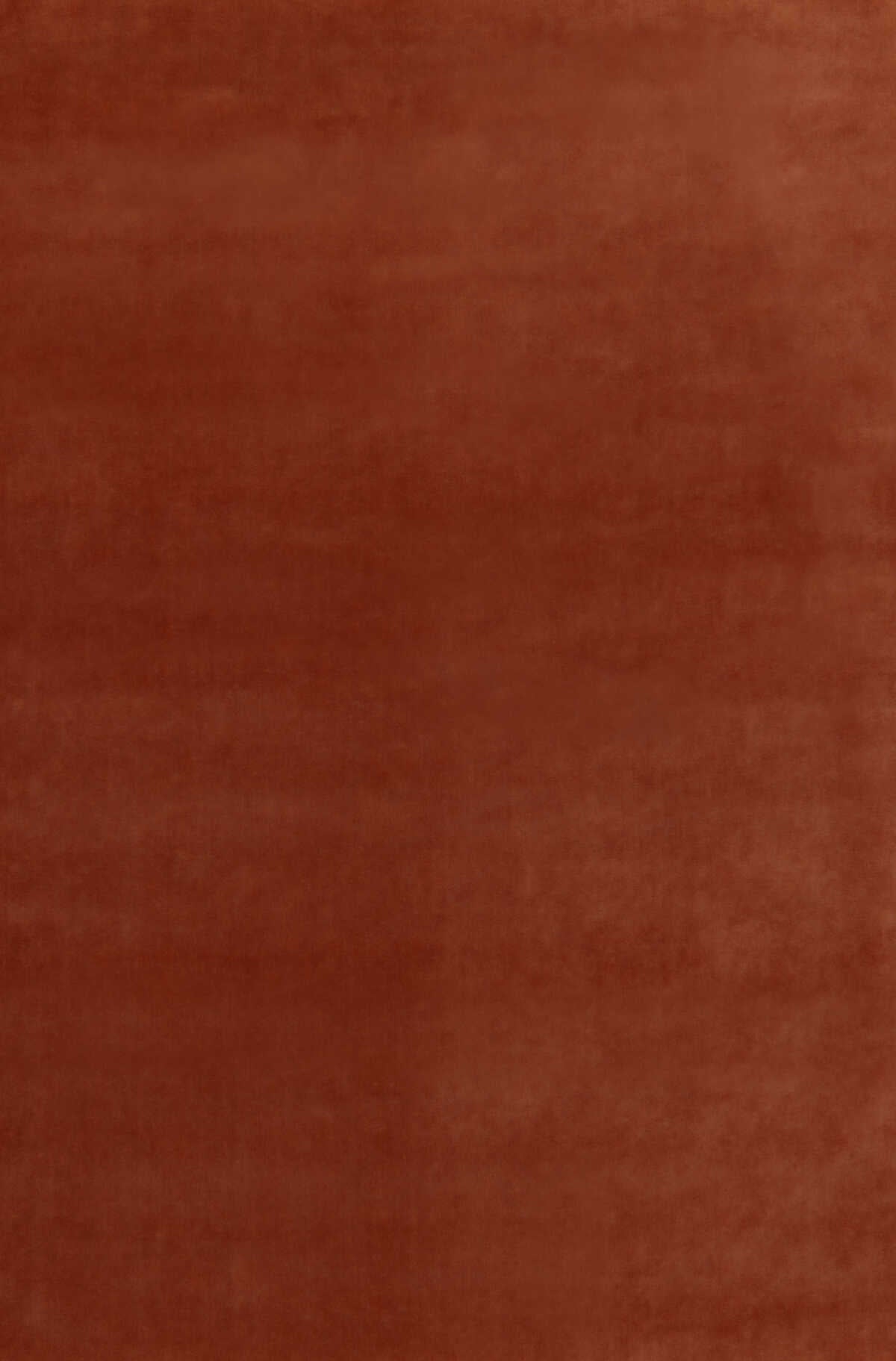 Court Velvet - Amber - G P & J BAKER Fabric