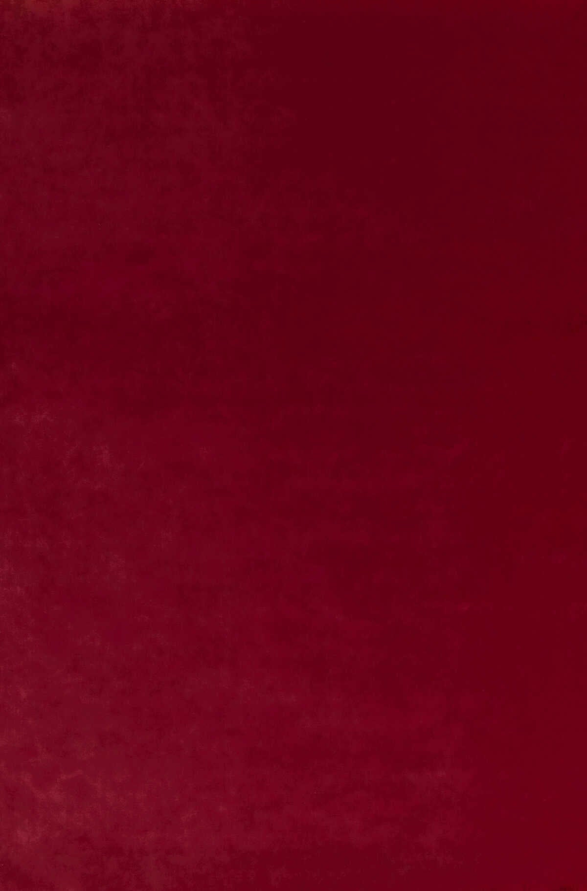 Court Velvet - Ruby