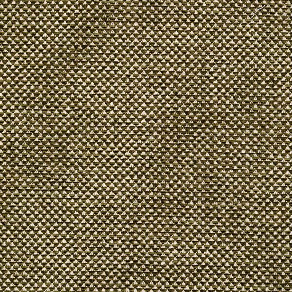 Bfc3713300 Webster Moss Lee Jofa Fabric - LEE JOFA Fabric