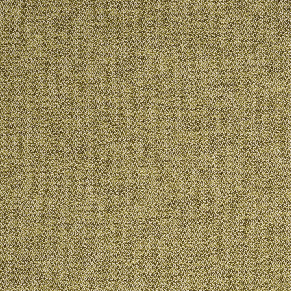 Wilson - Leaf