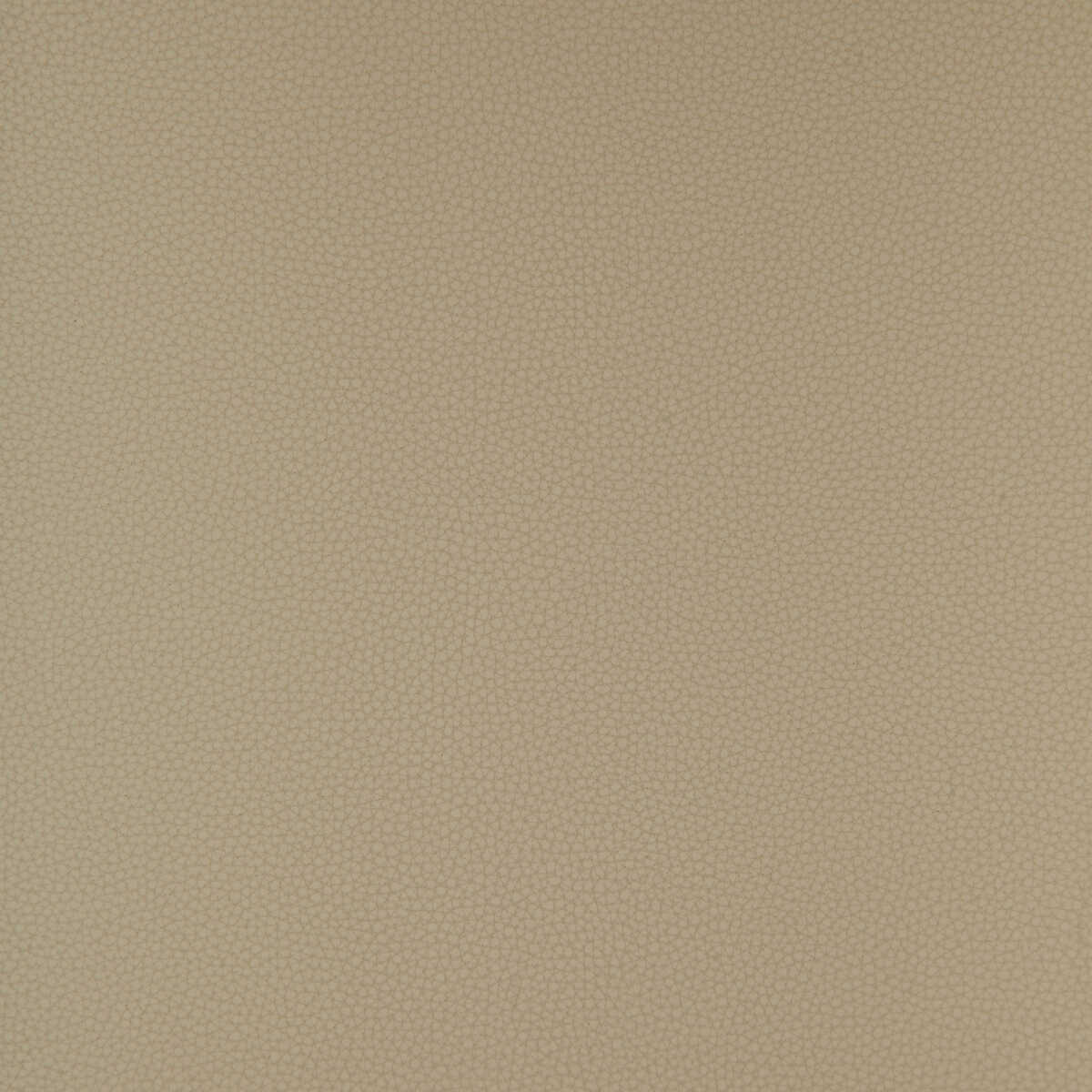 Kravet Design - Bind-11 - KRAVET DESIGN Tela