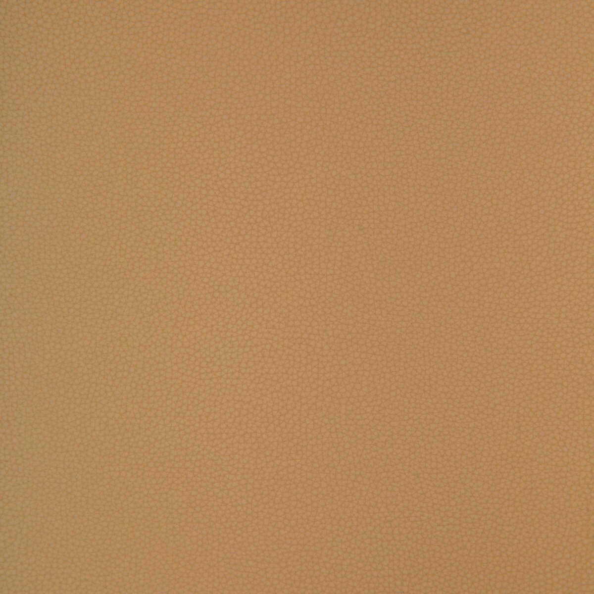 Kravet Design - Bind-116 - KRAVET DESIGN Tela
