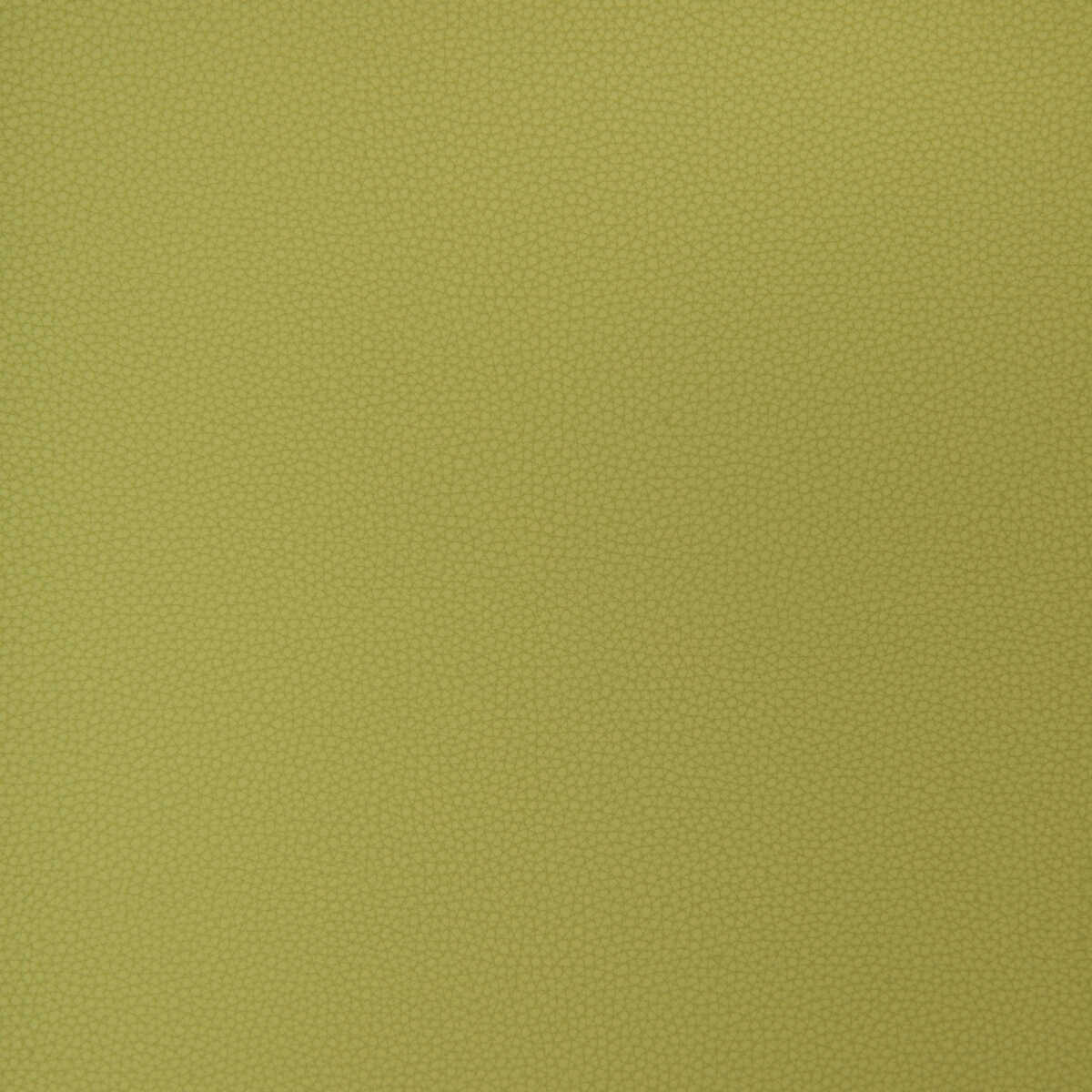 Kravet Design - Bind-23 - KRAVET DESIGN Tela