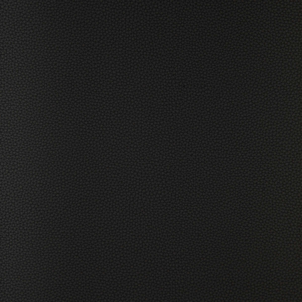 Kravet Design - Bind-811 - KRAVET DESIGN Tela