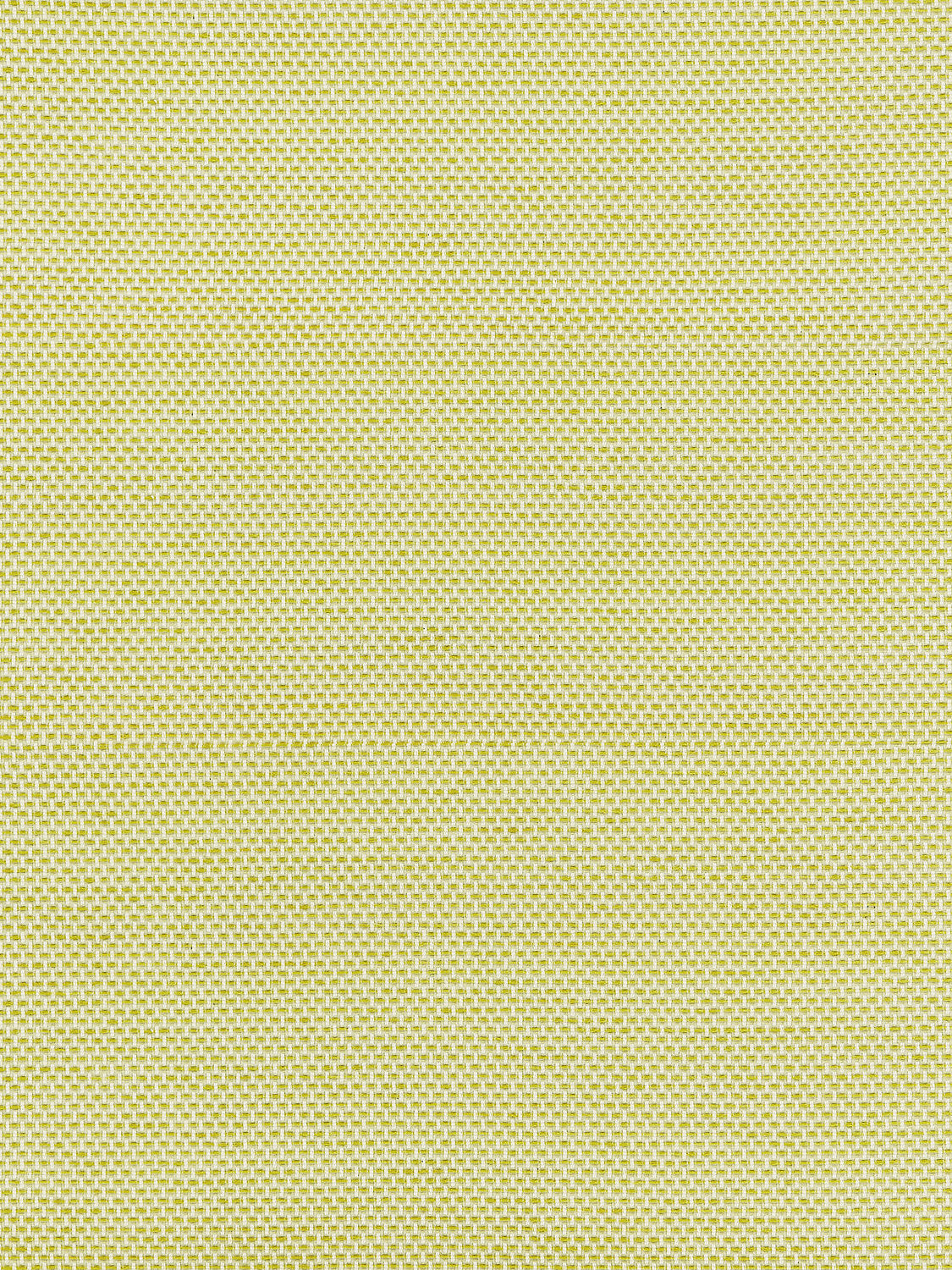 Berkshire Weave - Lime - Scalamandre Fabric