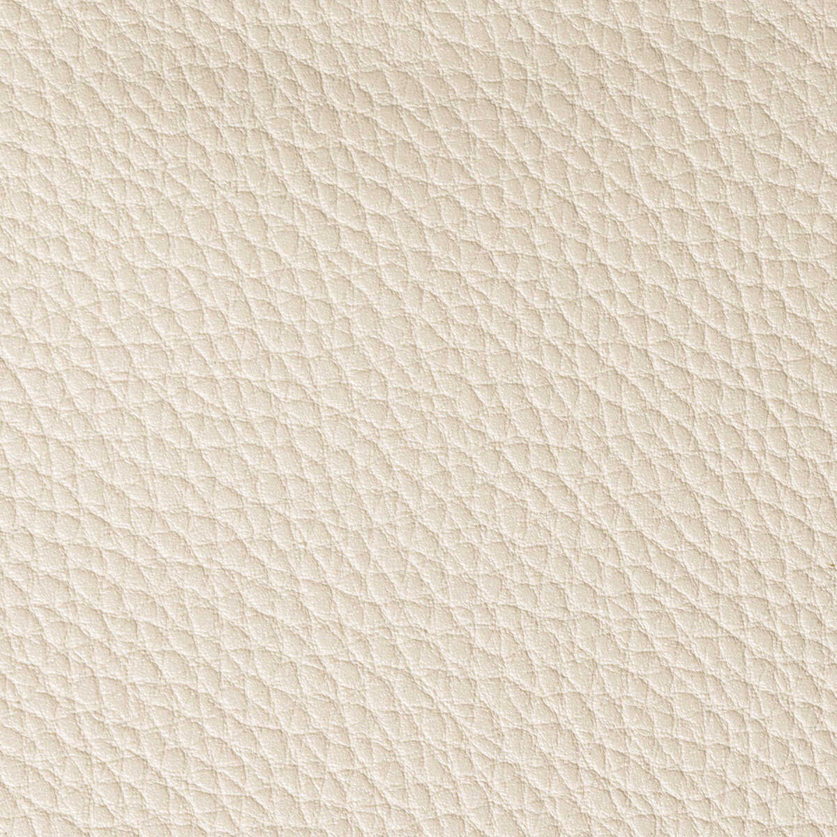 Boone - Conch - KRAVET CONTRACT Fabric