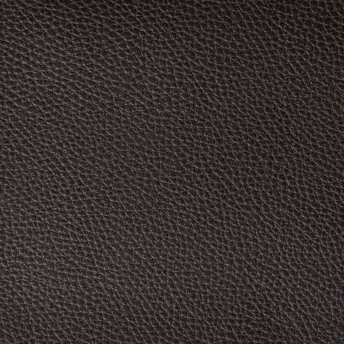 Boone - Java - KRAVET CONTRACT Fabric