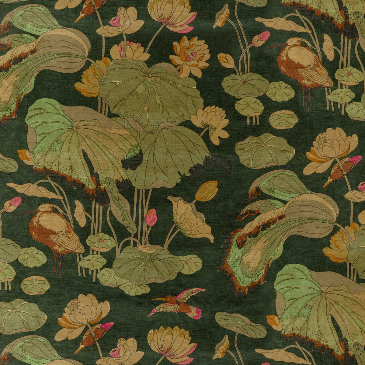 Nympheus Velvet - Emerald - G P & J BAKER Fabric
