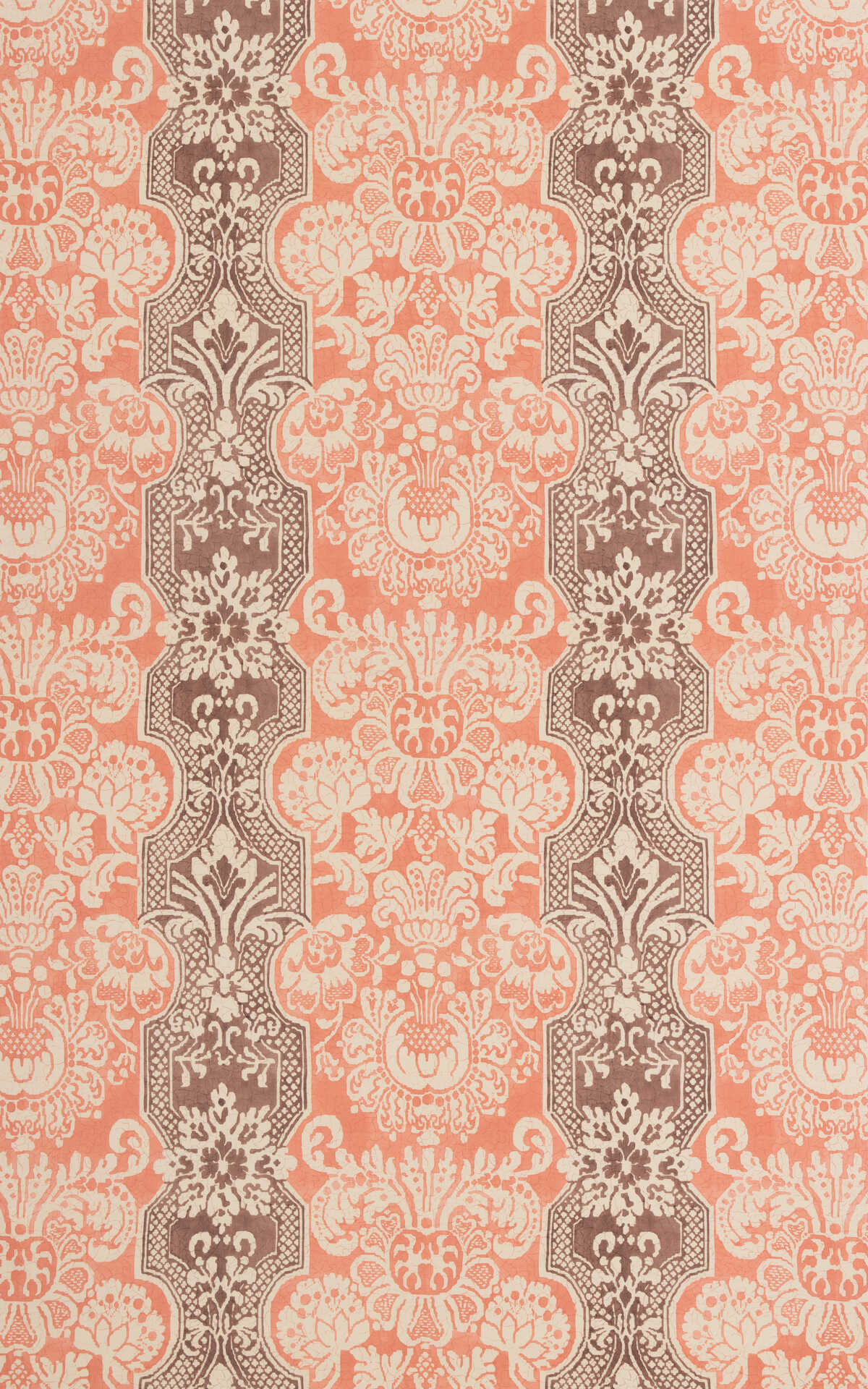 Marigold - Plaster