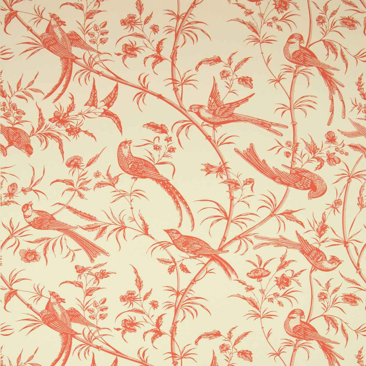 Br691351210 Bengali Rose Brunschwig Fils Wallpaper - BRUNSCHWIG & FILS Wallpaper