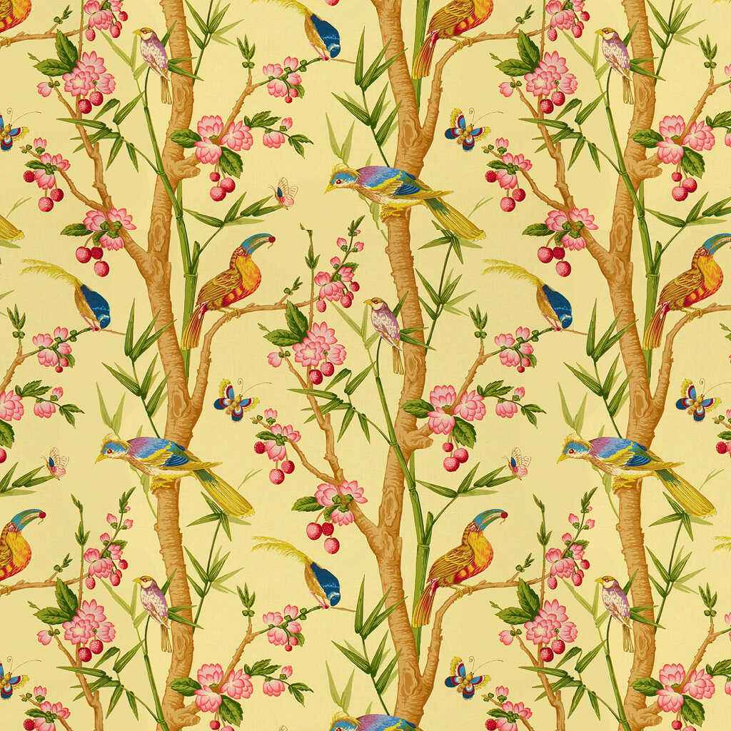 Br71622010 Toucans Jaune Brunschwig Fils Fabric - BRUNSCHWIG & FILS Fabric