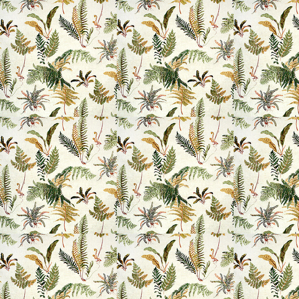 Les Fougeres - Ivory - Brunschwig & Fils Fabric