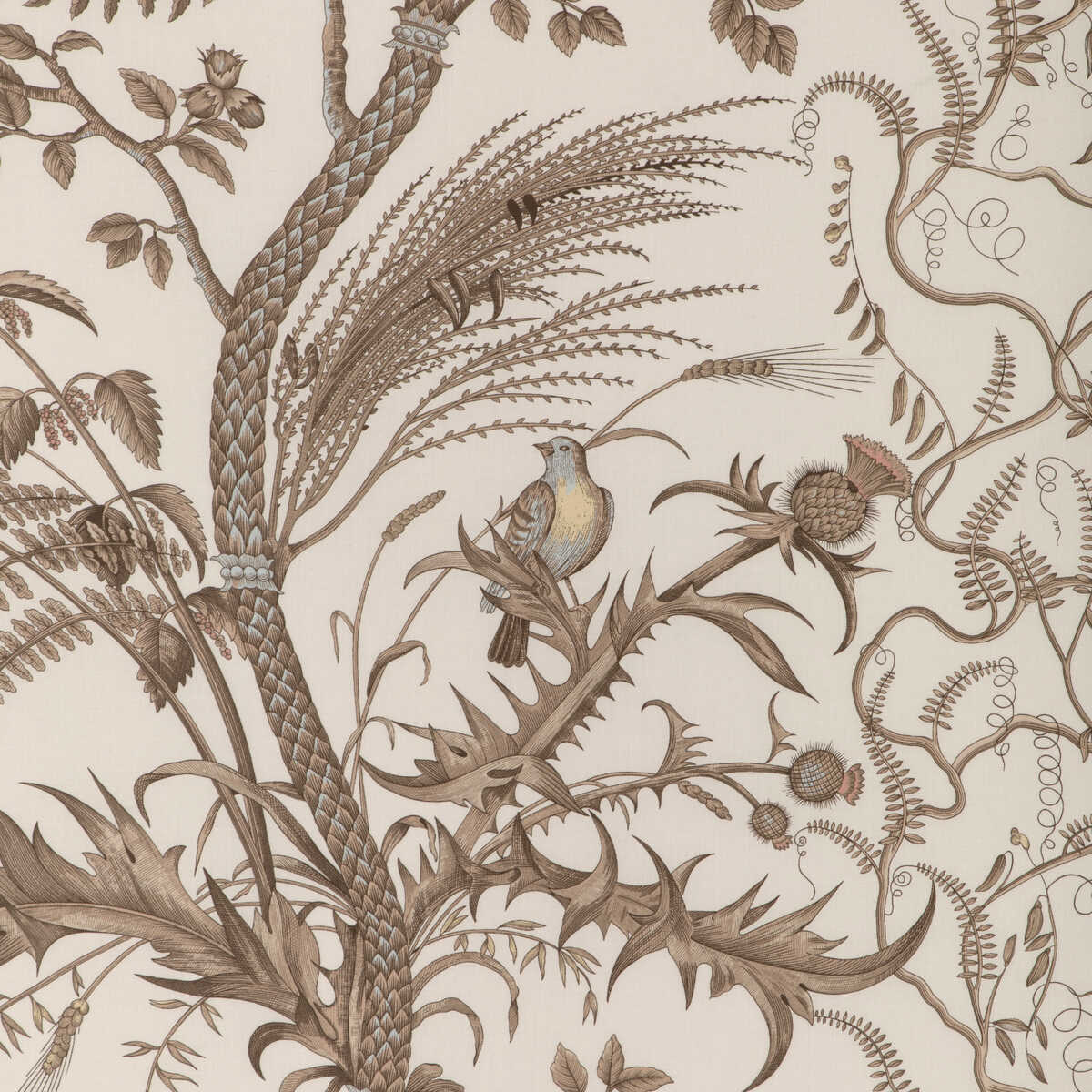 Bird And Thistle Cotton Print - Beige - BRUNSCHWIG & FILS Fabric