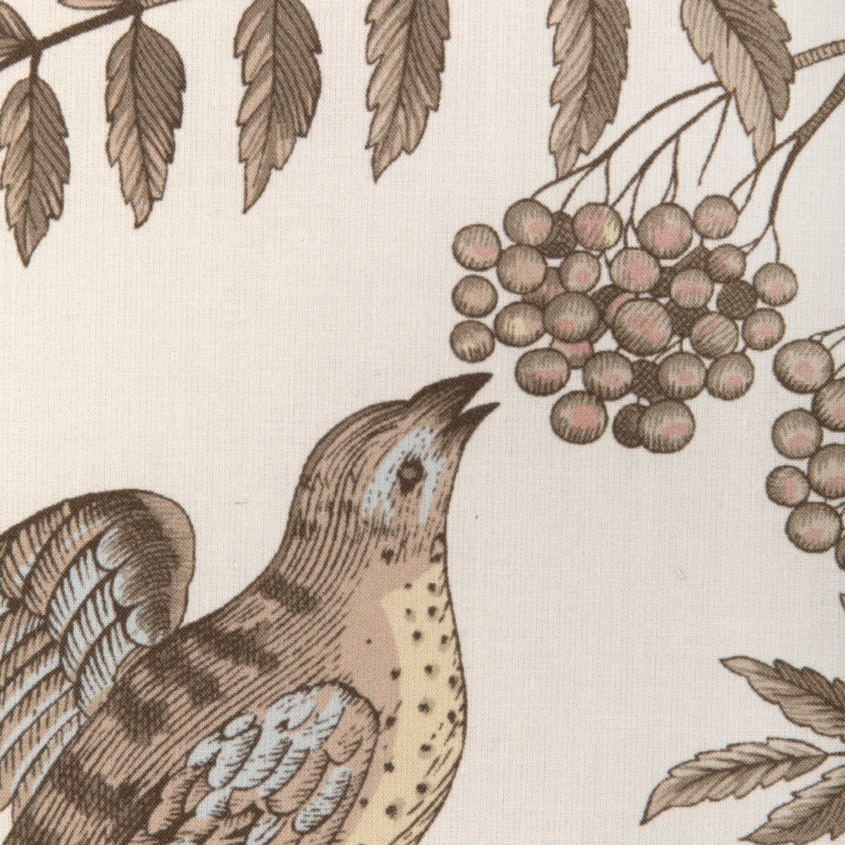 Bird And Thistle Cotton Print - Beige - BRUNSCHWIG & FILS Fabric