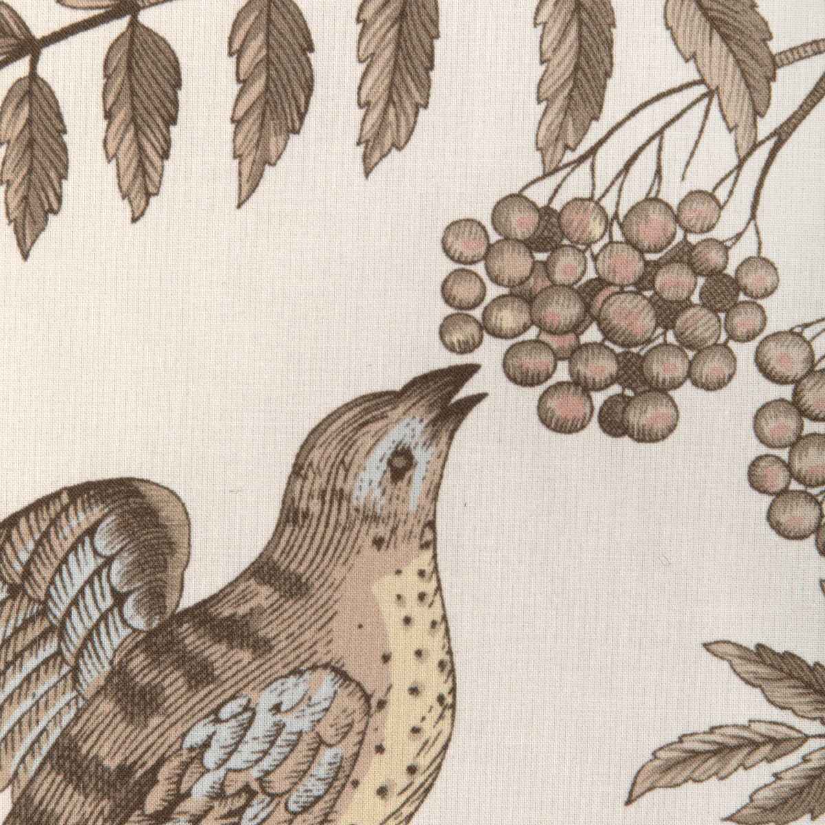 Br794310680 Bird And Thistle Cotton Print Beige Brunschwig Fils Fabric - BRUNSCHWIG & FILS Fabric