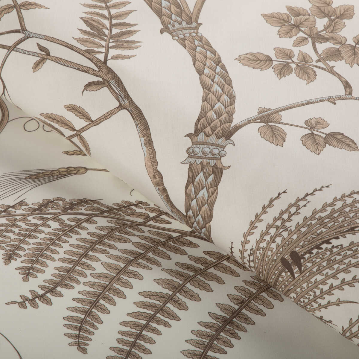 Bird And Thistle Cotton Print - Beige - BRUNSCHWIG & FILS Fabric