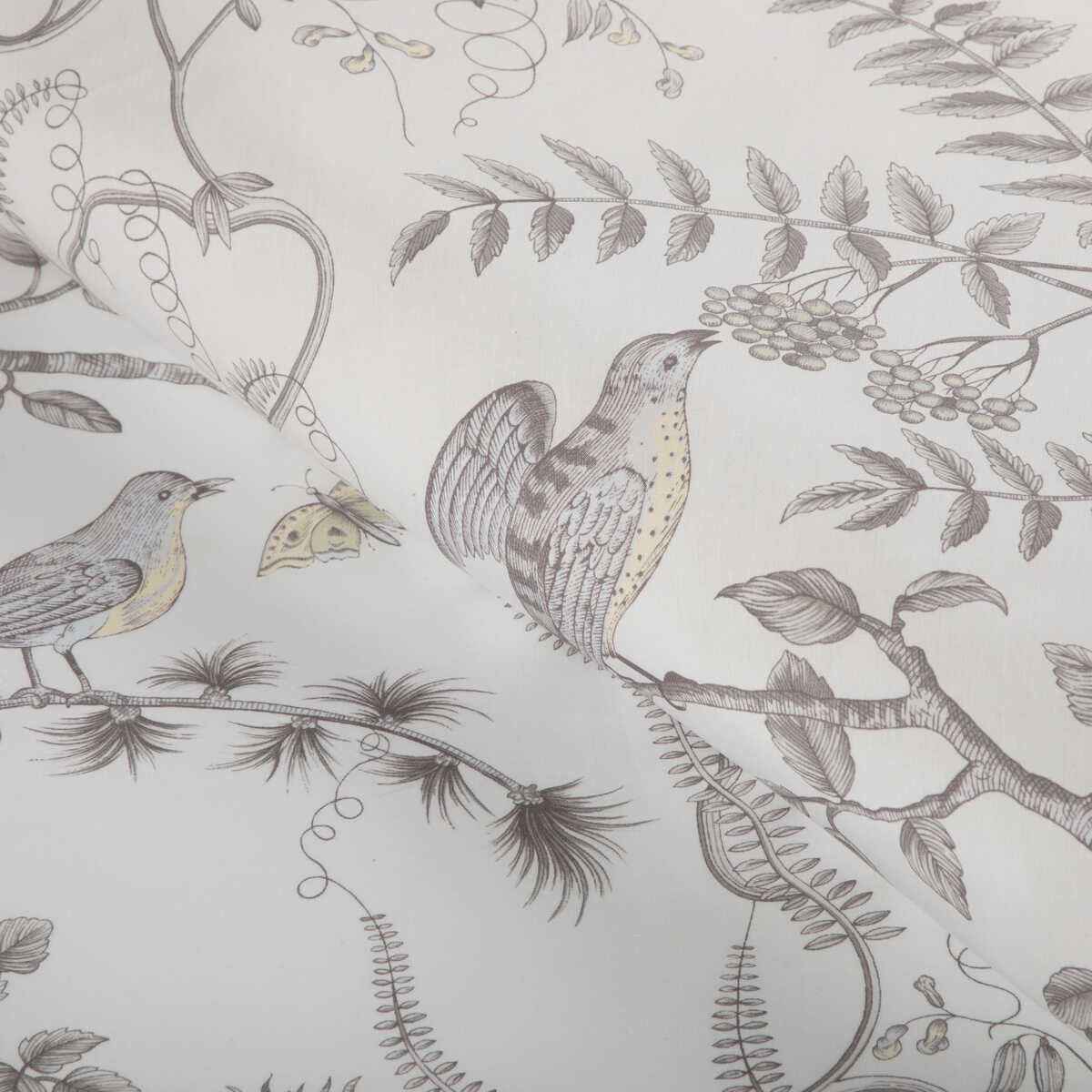 Br79431110 Bird And Thistle Cotton Print Gray Brunschwig Fils Fabric - BRUNSCHWIG & FILS Fabric