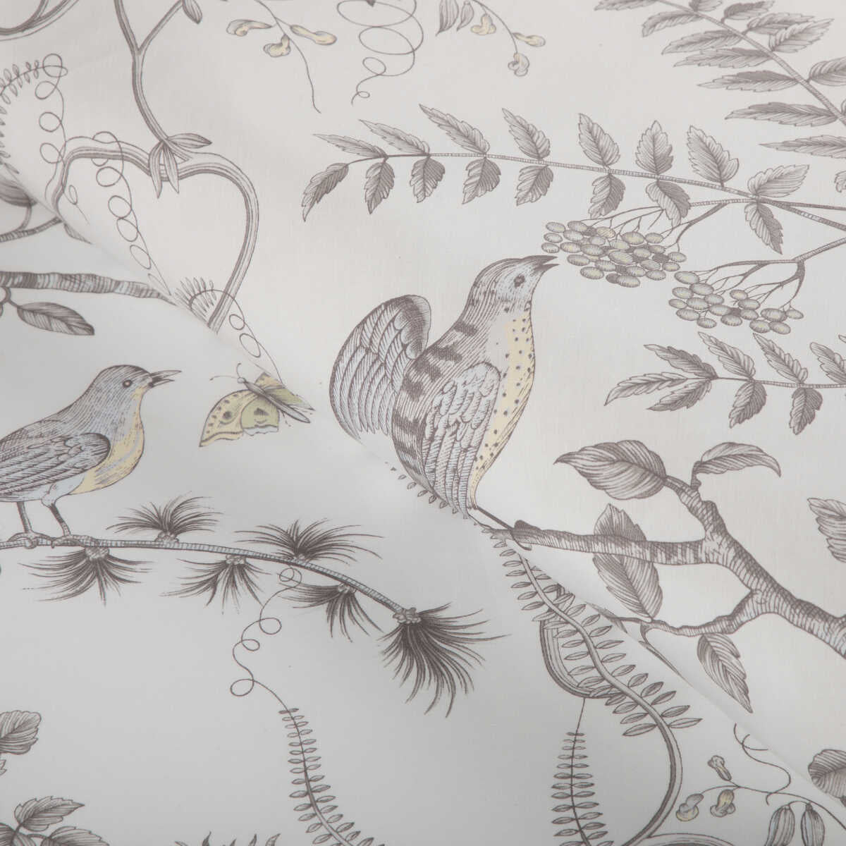 Bird And Thistle Cotton Print - Gray - BRUNSCHWIG & FILS Fabric