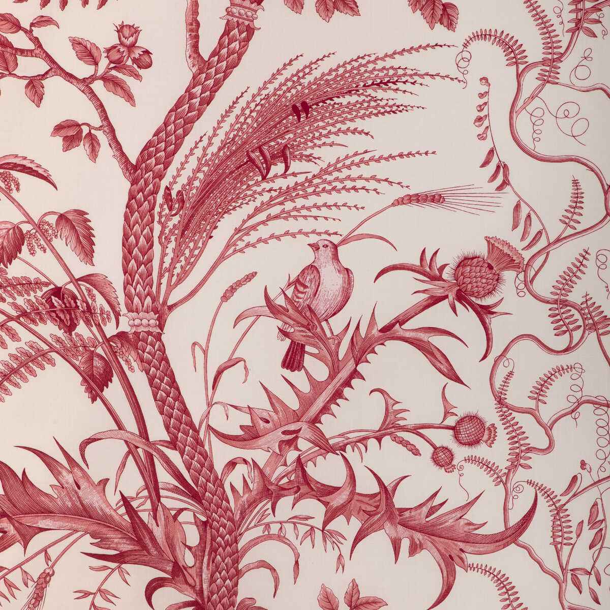 Br794311660 Bird And Thistle Cotton Print Red Brunschwig Fils Fabric
