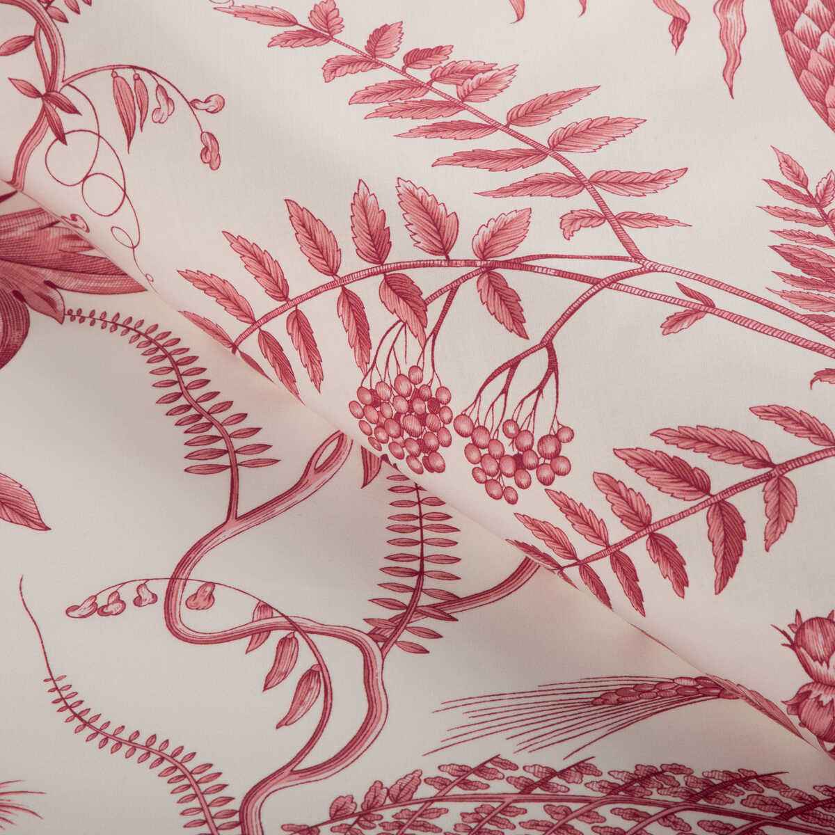 Br794311660 Bird And Thistle Cotton Print Red Brunschwig Fils Fabric - BRUNSCHWIG & FILS Fabric