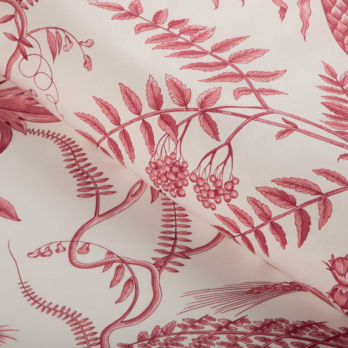 Bird And Thistle Cotton Print - Red - BRUNSCHWIG & FILS Fabric