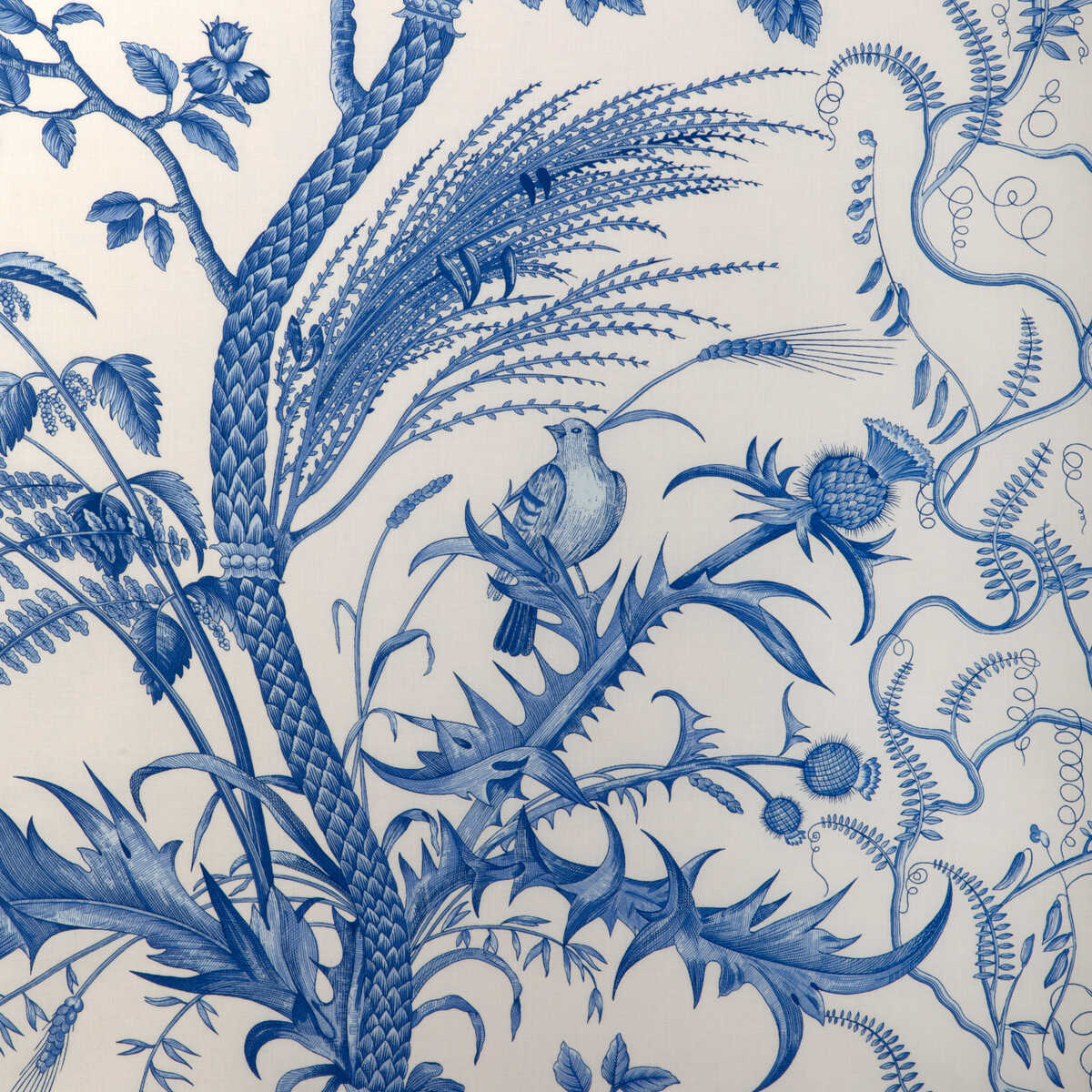 Bird And Thistle Cotton Print - Blue - BRUNSCHWIG & FILS Fabric