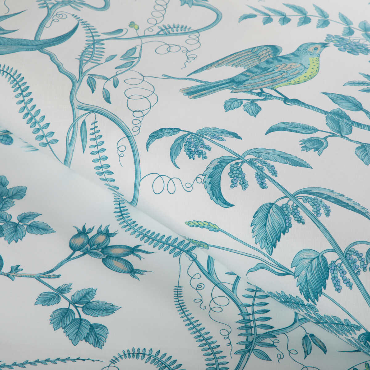 Bird And Thistle Cotton Print - Aqua - BRUNSCHWIG & FILS Fabric
