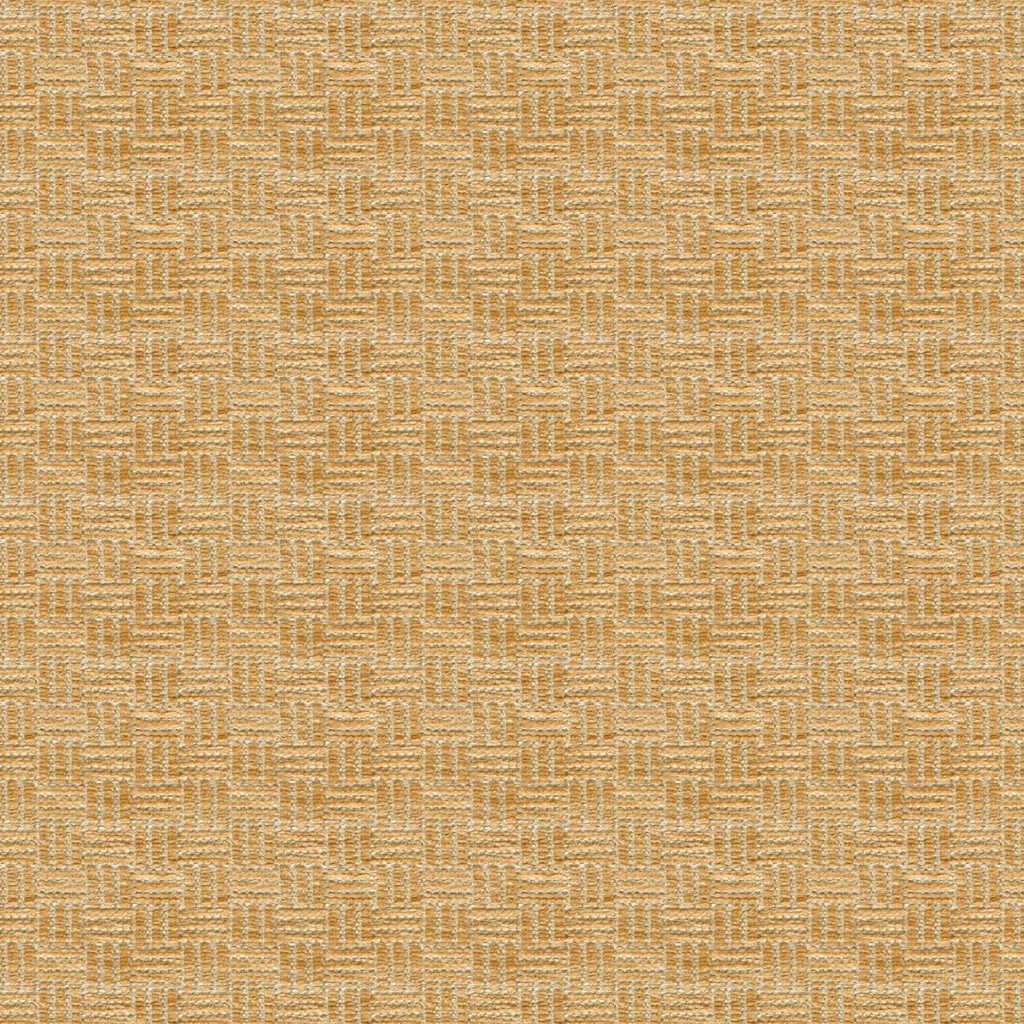 Reed Texture - Biscuit - BRUNSCHWIG & FILS Fabric