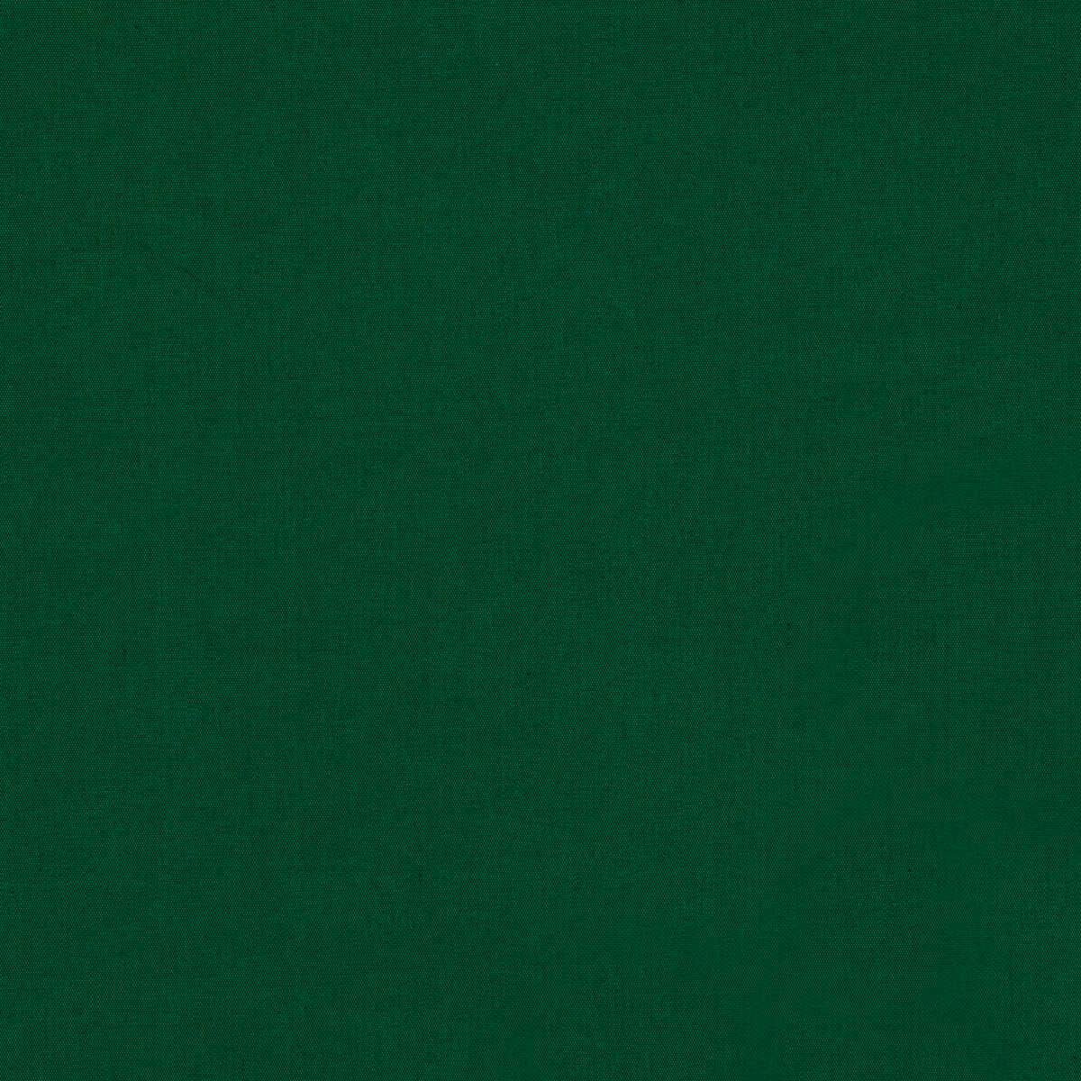 Ninon Taffetas - Emerald - BRUNSCHWIG & FILS Fabric