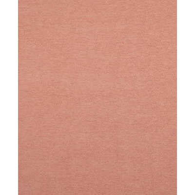 Yorke Chenille - Cherub - BRUNSCHWIG & FILS Fabric