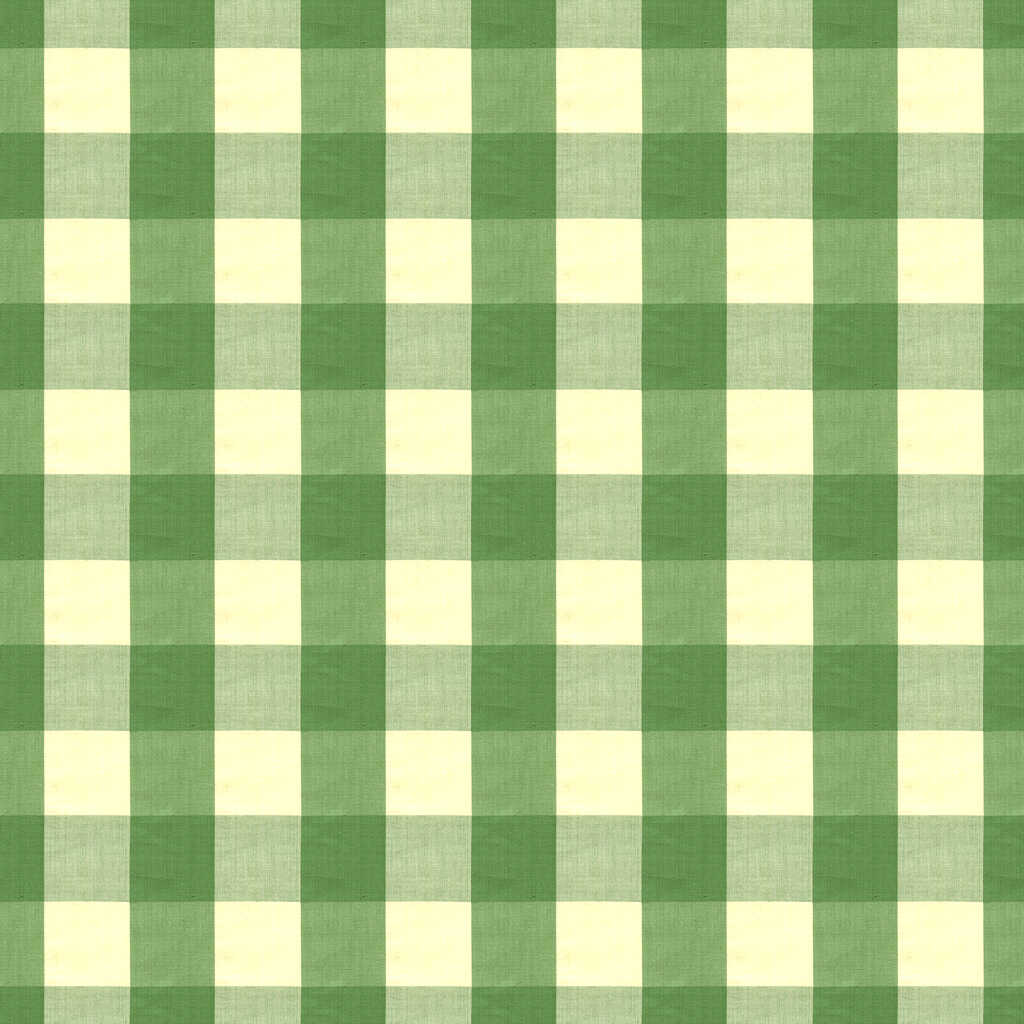 Exchequer Cotton Check - Jade - BRUNSCHWIG & FILS Fabric