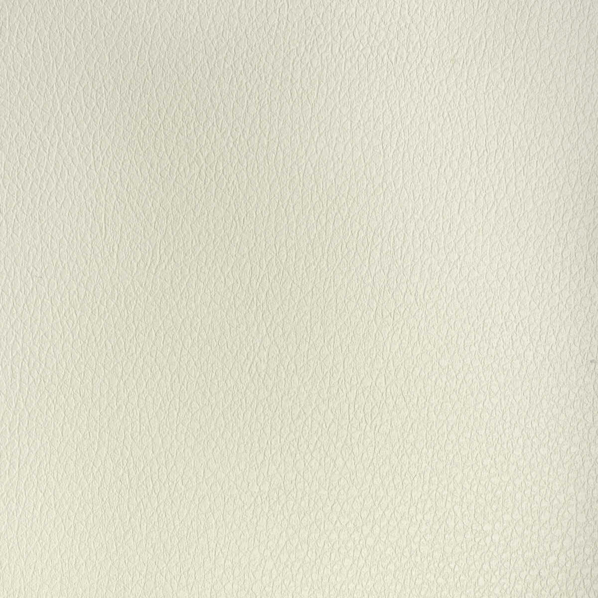 Kravet Design - Buff-1116 - KRAVET DESIGN Fabric