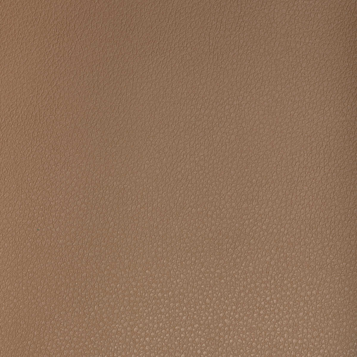 Kravet Design - Buff-6 - KRAVET DESIGN Fabric