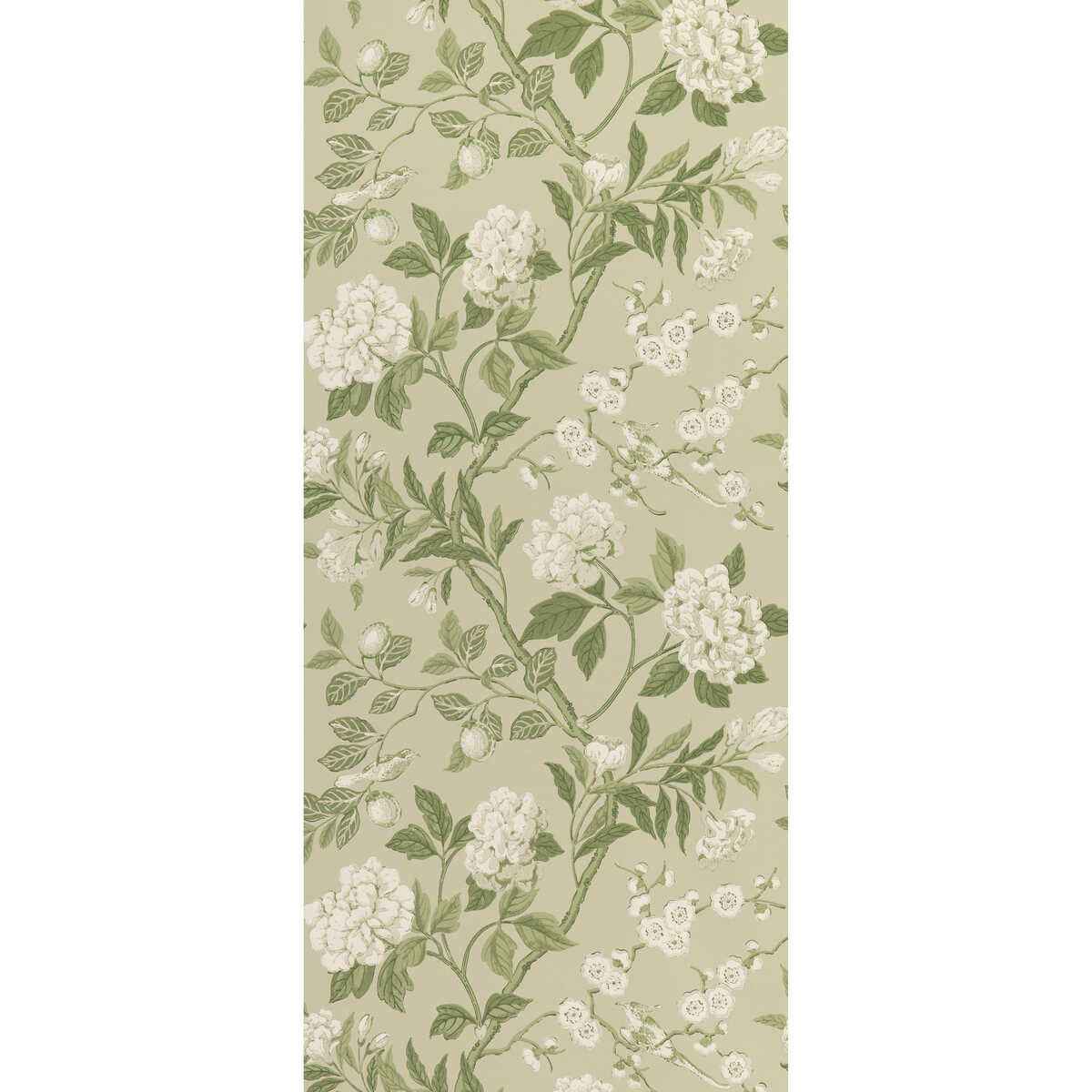 Bw45000100 Emperor S Garden Soft Green G P J Baker Wallpaper