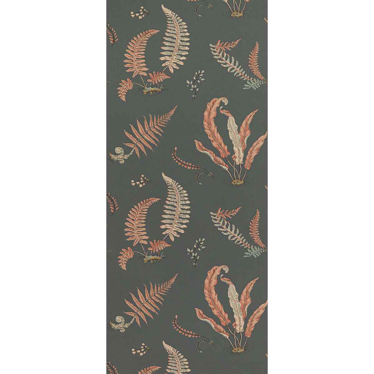 Bw45044130 Ferns Coral Charcoal G P J Baker Wallpaper - G P & J BAKER Wallpaper