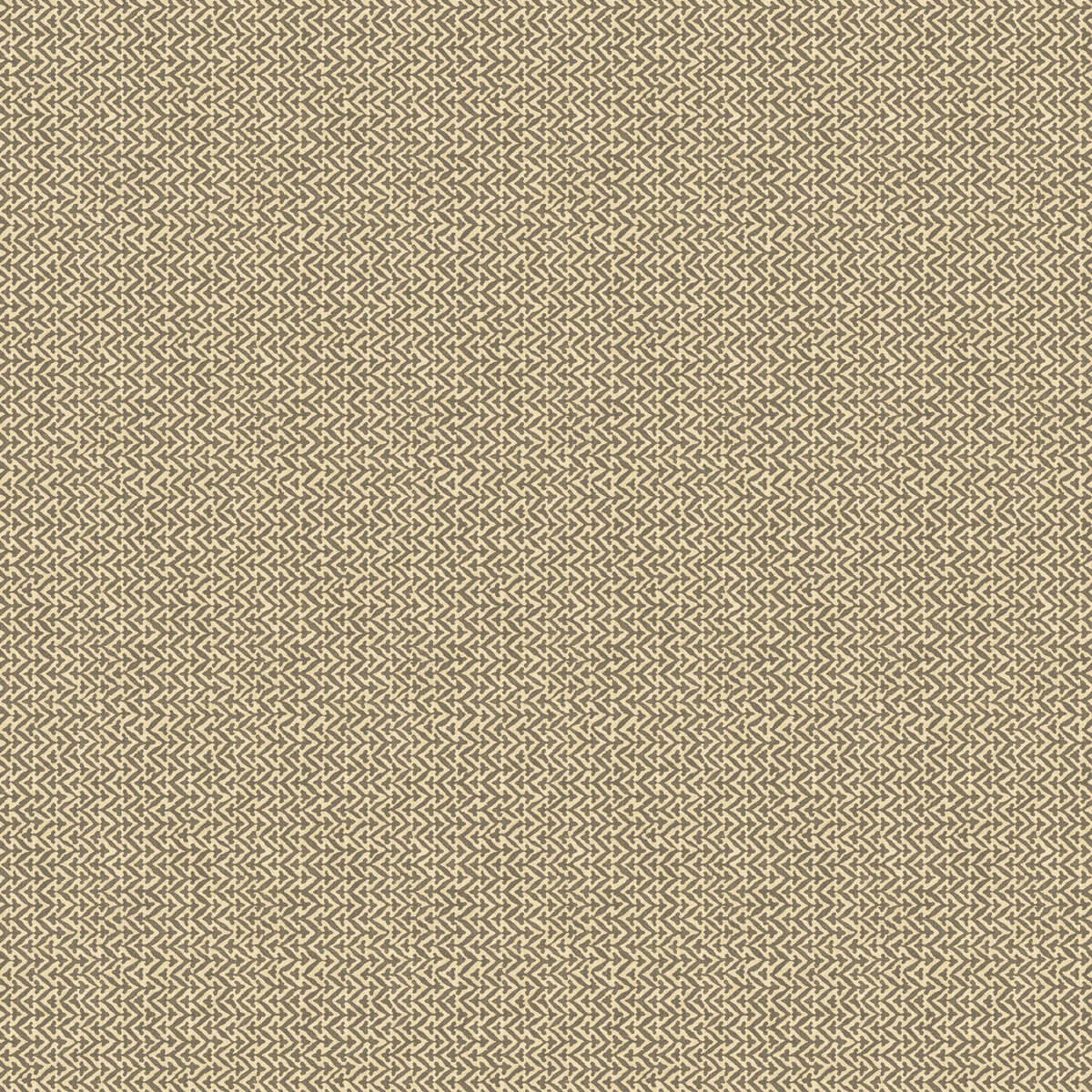 Tilly - Charcoal - G P & J BAKER Wallpaper