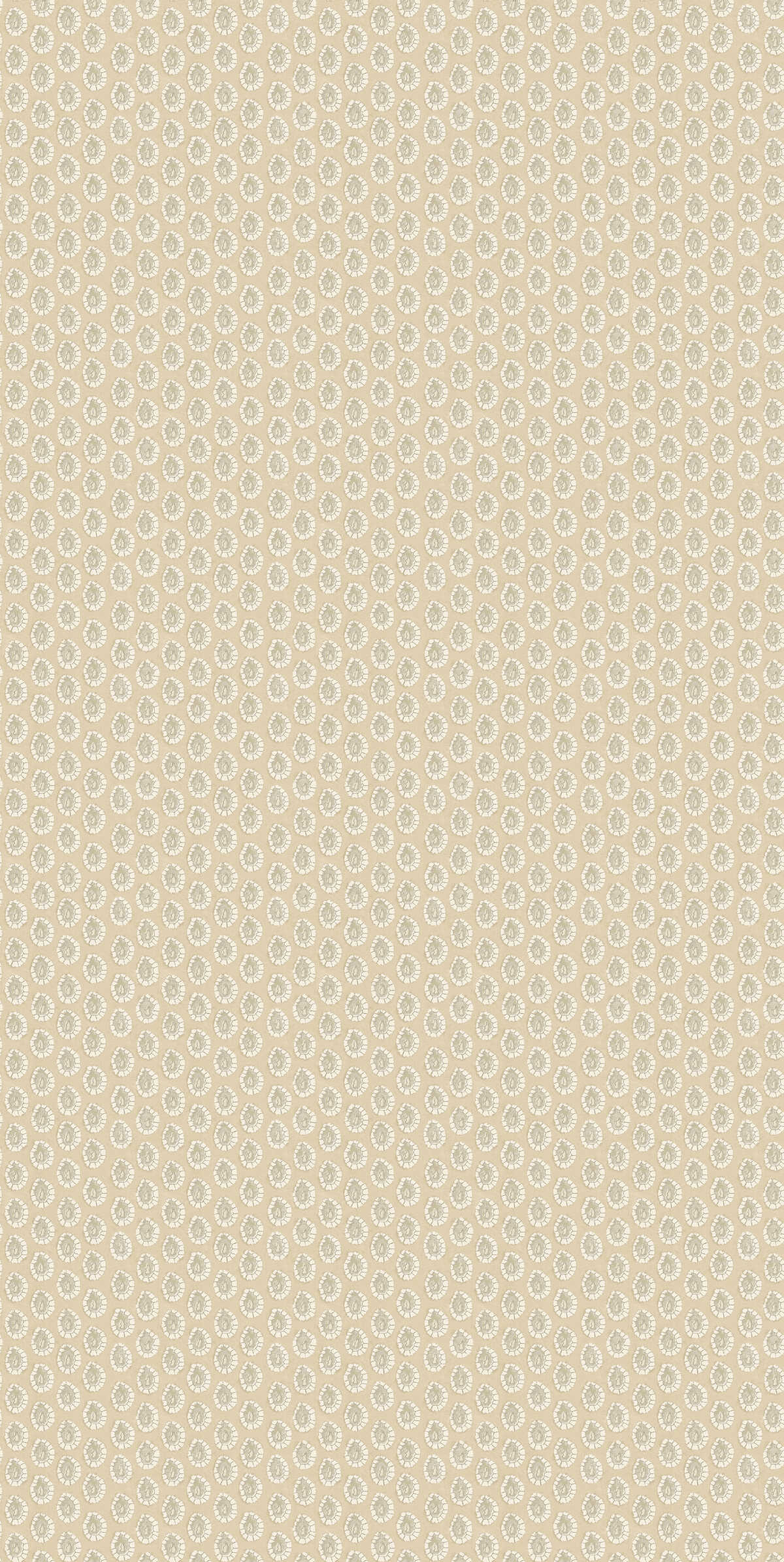 Dotty - Parchment