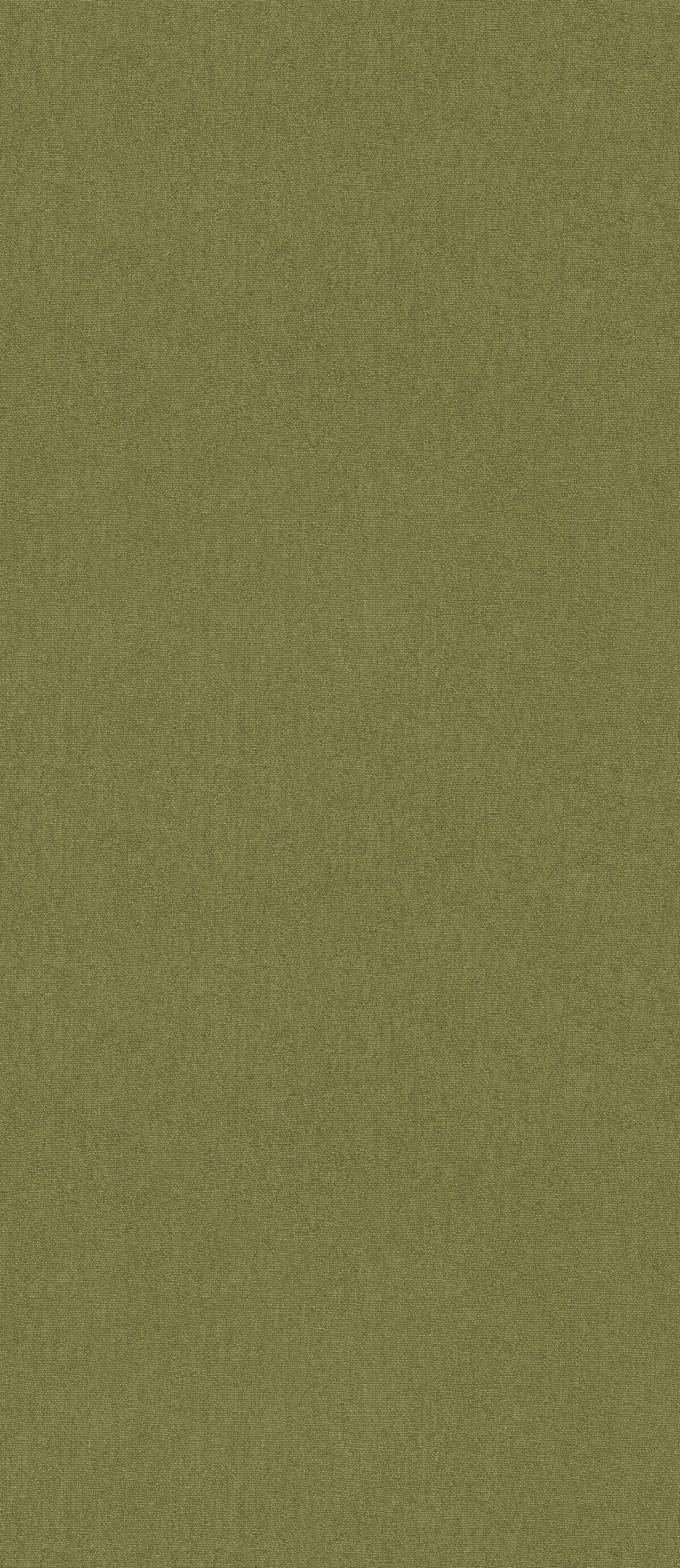 Cubby - Olive - G P & J BAKER Wallpaper