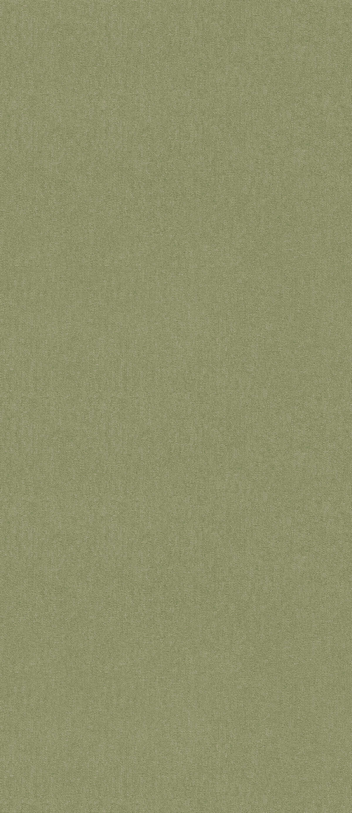 Cubby - Grass - G P & J BAKER Wallpaper