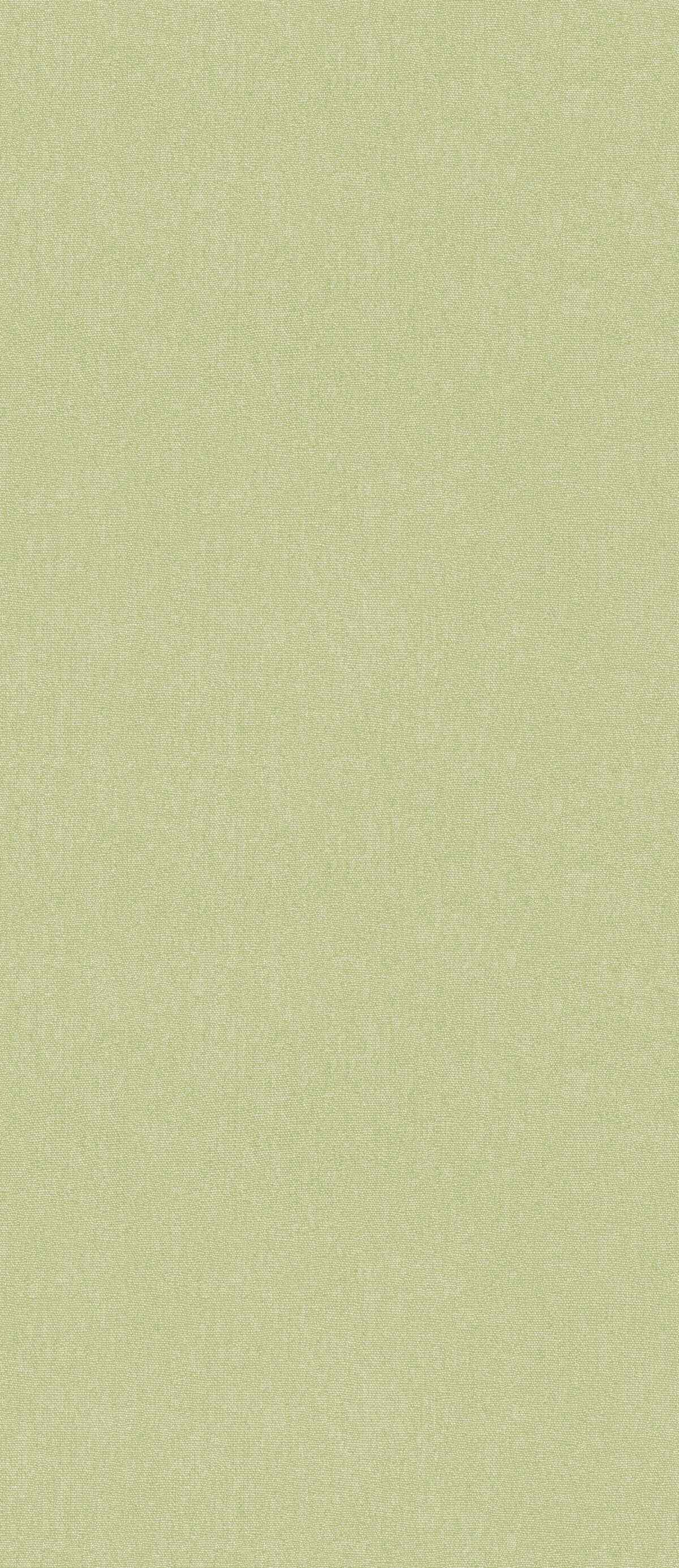 Bw451687440 Cubby Cardamon G P J Baker Wallpaper - G P & J BAKER Wallpaper