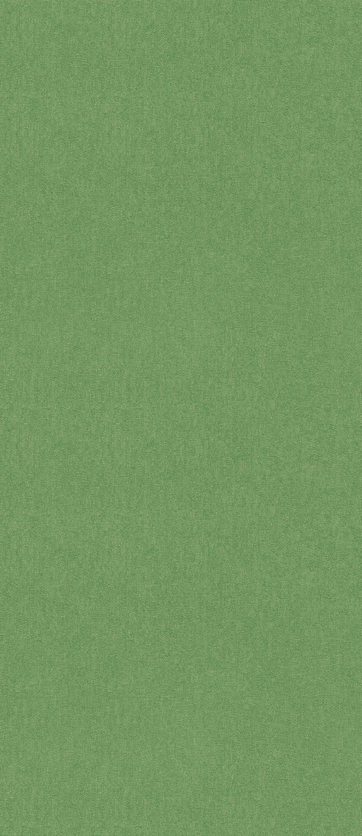 Cubby - Spring Green - G P & J BAKER Wallpaper
