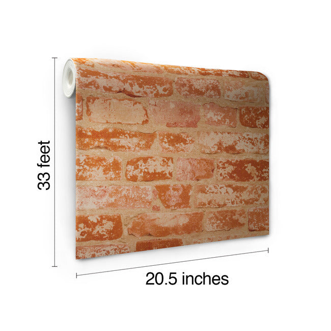 up-the-wall-wallpaper-york-wallcoverings-bz9206