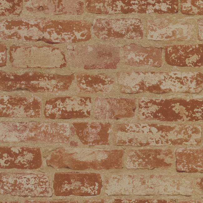 up-the-wall-wallpaper-york-wallcoverings-bz9206