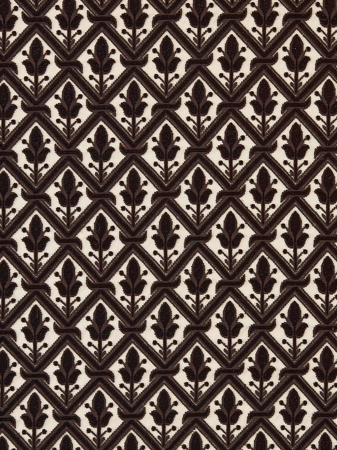 Bambert - Ganache