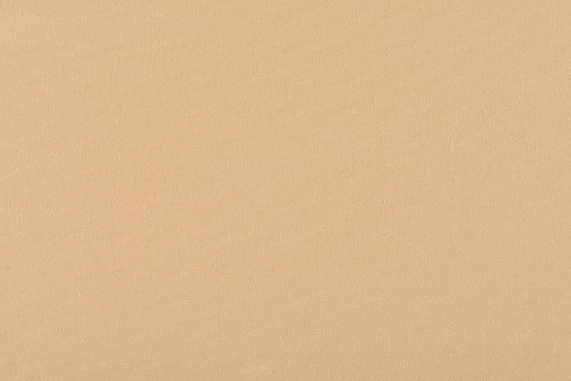 Canvas - Sand - Scalamandre Fabric
