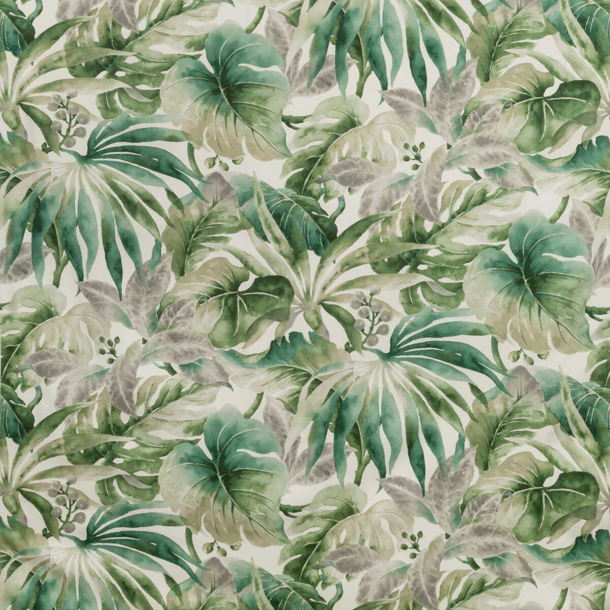 Kravet Basics - Carles-3 - KRAVET BASICS Fabric