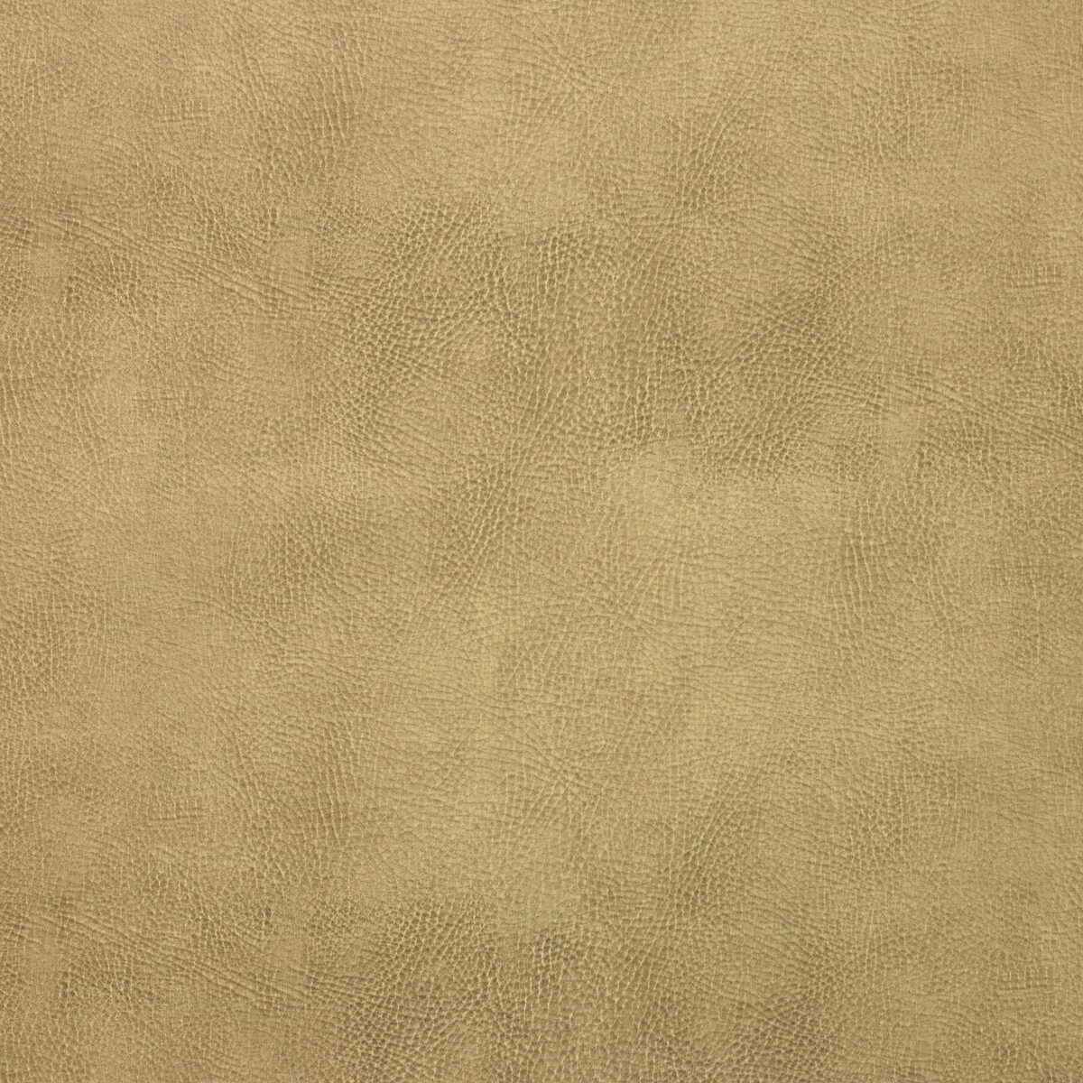 Kravet Design - Caswell-16