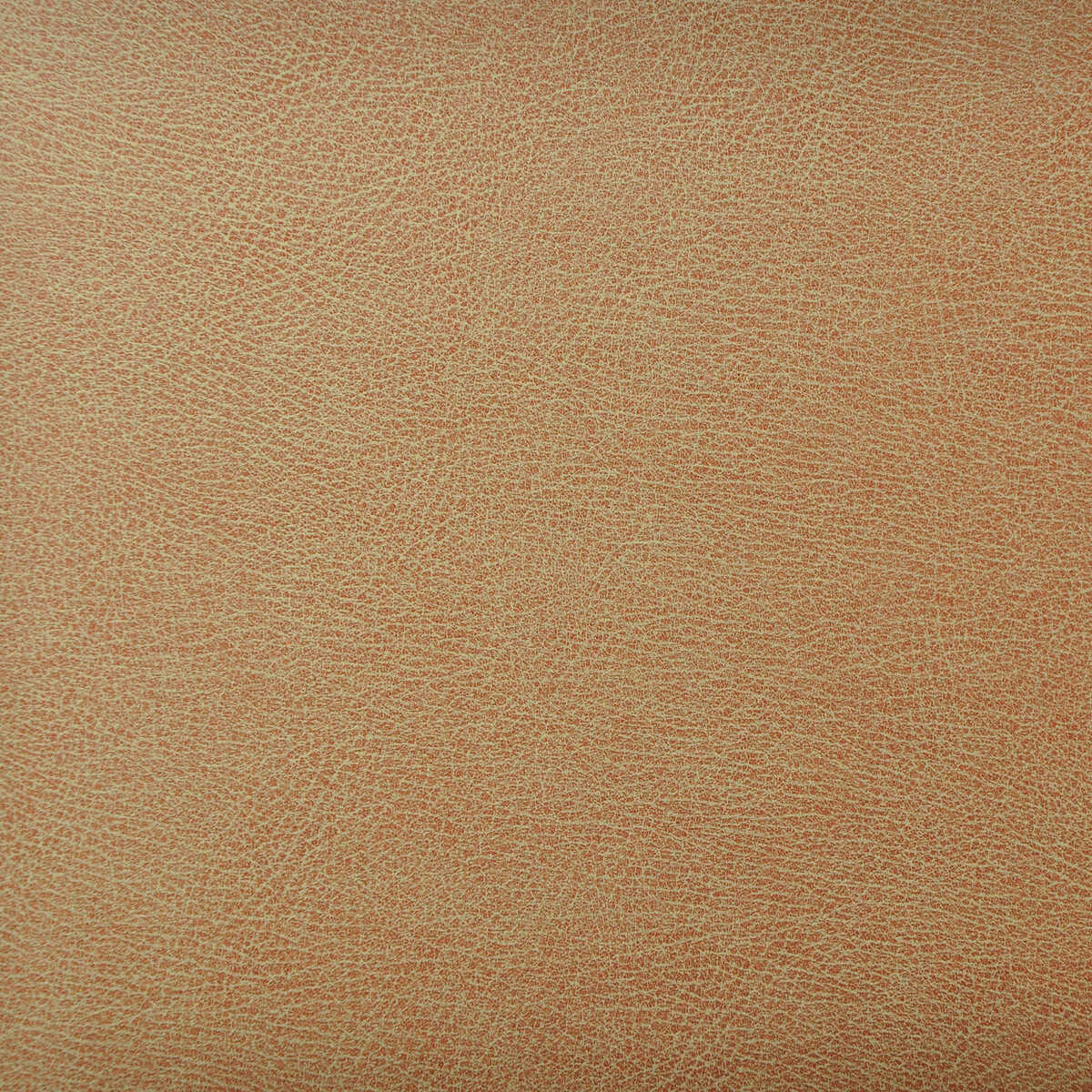 Kravet Design - Caswell-6 - KRAVET DESIGN Fabric