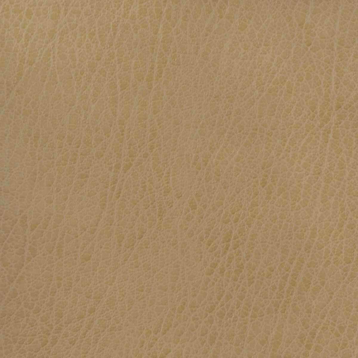 Celine1060 Kravet Basics Celine 106 Kravet Basics Fabric