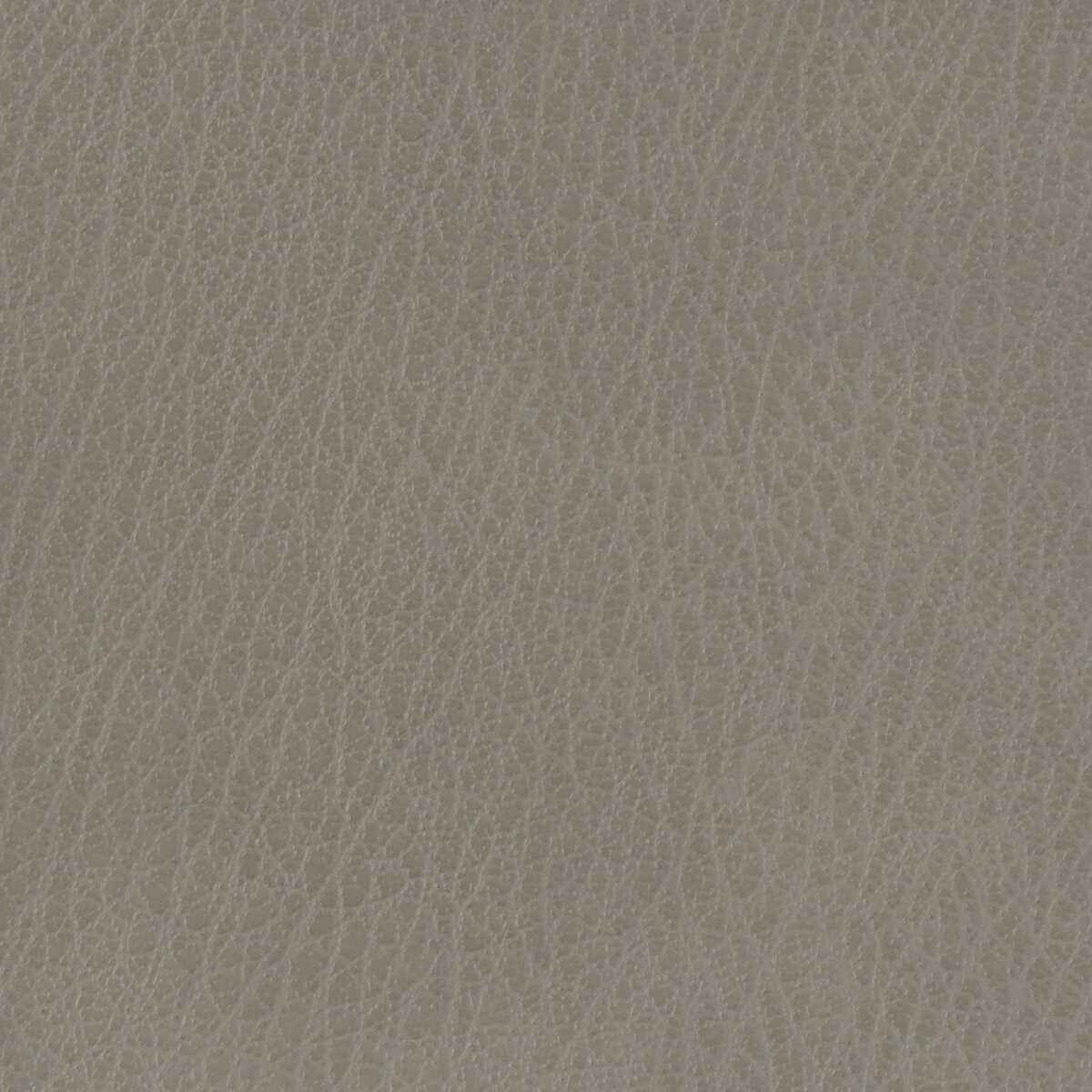 Celine110 Kravet Basics Celine 11 Kravet Basics Fabric - KRAVET BASICS Fabric